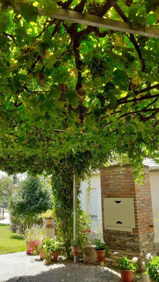 El Maragato Villa Castrillo de Cepeda Eksteriør bilde